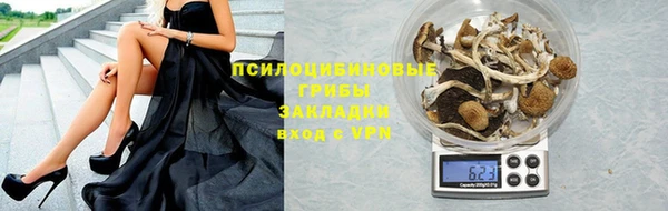 ПСИЛОЦИБИНОВЫЕ ГРИБЫ Балабаново