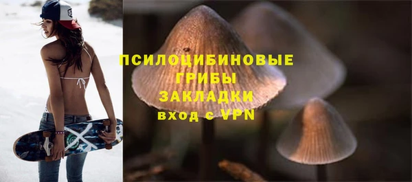 ПСИЛОЦИБИНОВЫЕ ГРИБЫ Балабаново