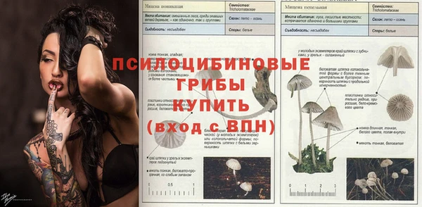 ПСИЛОЦИБИНОВЫЕ ГРИБЫ Балабаново