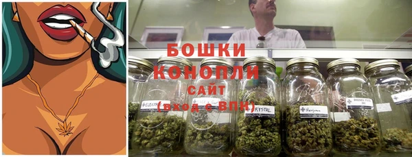ПСИЛОЦИБИНОВЫЕ ГРИБЫ Балабаново